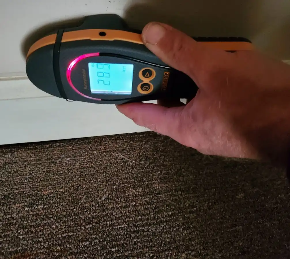 Moisture detection at baseboard during Sewage Cleanup & Sanitation in Newberry